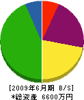 前田建設 貸借対照表 2009年6月期