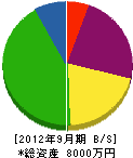 森田塗装店 貸借対照表 2012年9月期