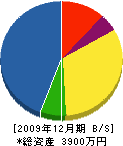 辻亀機械工業所 貸借対照表 2009年12月期