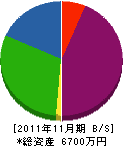 大石住建 貸借対照表 2011年11月期