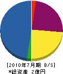 飯塚緑化土木 貸借対照表 2010年7月期