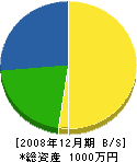 藤井塗工 貸借対照表 2008年12月期