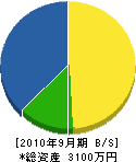 辻健建設 貸借対照表 2010年9月期