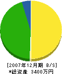 覚善庭材 貸借対照表 2007年12月期