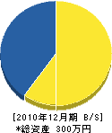 矢野工務店 貸借対照表 2010年12月期