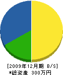 湯浅総業 貸借対照表 2009年12月期