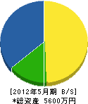 横山建設 貸借対照表 2012年5月期