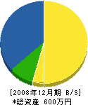 中電気 貸借対照表 2008年12月期