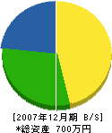 松之園 貸借対照表 2007年12月期