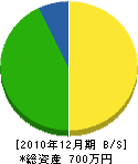渡辺塗装店 貸借対照表 2010年12月期