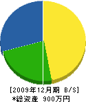 青山建設 貸借対照表 2009年12月期
