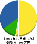 北川組 貸借対照表 2007年12月期