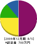 勝榮電設 貸借対照表 2009年12月期