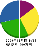 垂水／髙木 貸借対照表 2009年12月期