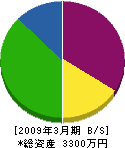 鮫島建設 貸借対照表 2009年3月期
