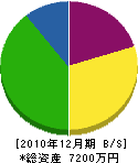 松勝建設 貸借対照表 2010年12月期