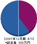 村井建設 貸借対照表 2007年12月期