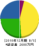 菊電機商会 貸借対照表 2010年12月期
