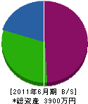 廣瀬興業 貸借対照表 2011年6月期