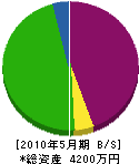 坂田建設 貸借対照表 2010年5月期