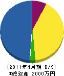 大昭電機工事 貸借対照表 2011年4月期