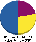 沢藤土木 貸借対照表 2007年12月期
