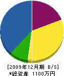 松岡重機 貸借対照表 2009年12月期