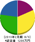 吉田畳店 貸借対照表 2013年2月期