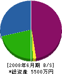 北斗イシヤマ 貸借対照表 2008年6月期