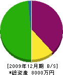 藤本工業所 貸借対照表 2009年12月期