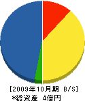 橋本建設 貸借対照表 2009年10月期