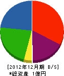 日本電波興業 貸借対照表 2012年12月期