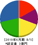 相羽建設 貸借対照表 2010年6月期