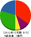 梅野総業 貸借対照表 2012年12月期
