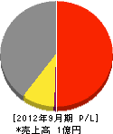 渡辺工業 損益計算書 2012年9月期