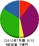 木村組 貸借対照表 2012年7月期