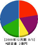 田下工業所 貸借対照表 2008年12月期