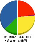 田中住建 貸借対照表 2009年12月期