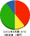 斉藤塗装工業所 貸借対照表 2012年4月期