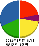 松本建設 貸借対照表 2012年9月期