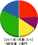 川上石材店 貸借対照表 2011年1月期