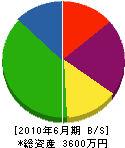 大田建設 貸借対照表 2010年6月期