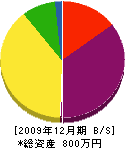 豊島配管 貸借対照表 2009年12月期