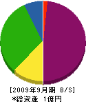 京都システムエンジニアリング 貸借対照表 2009年9月期