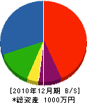 櫻電設 貸借対照表 2010年12月期