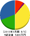 松川石店 貸借対照表 2013年3月期