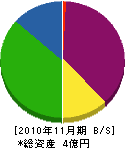 エンヂンメンテナンス 貸借対照表 2010年11月期