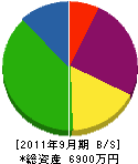 吉野電気商会 貸借対照表 2011年9月期