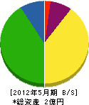 和田電業社 貸借対照表 2012年5月期