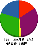 中山環境エンジ 貸借対照表 2011年9月期
